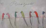 Perroquets_01
